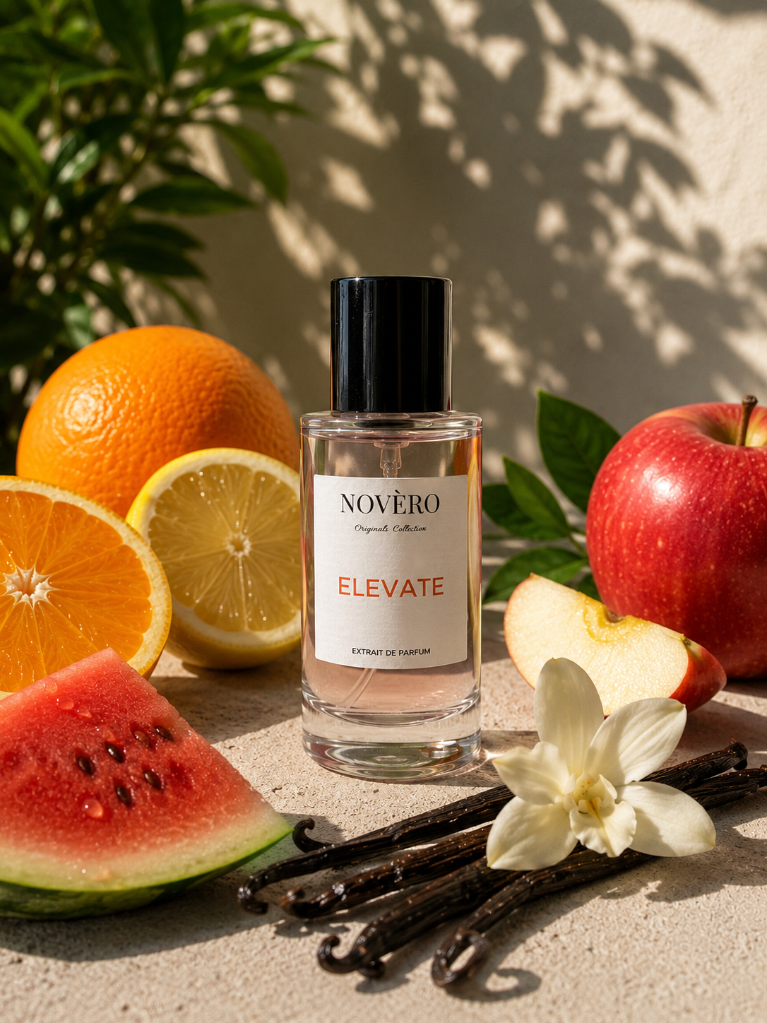 ELEVATE